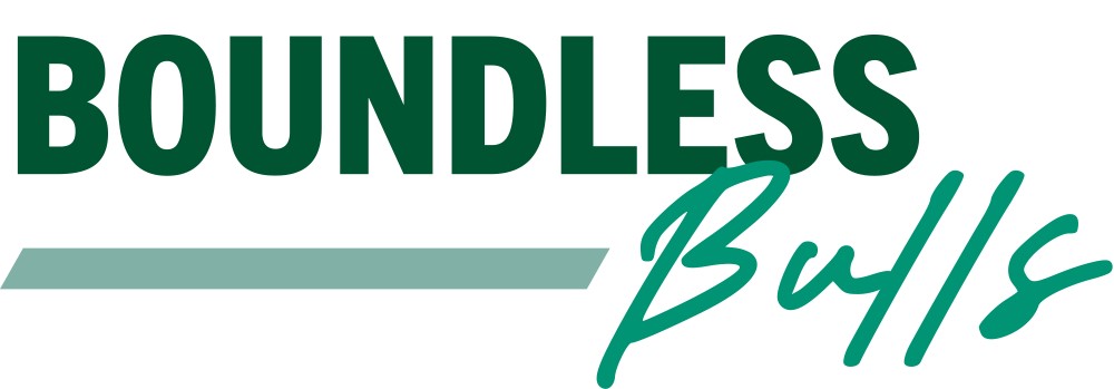 Boundless Bulls graphic