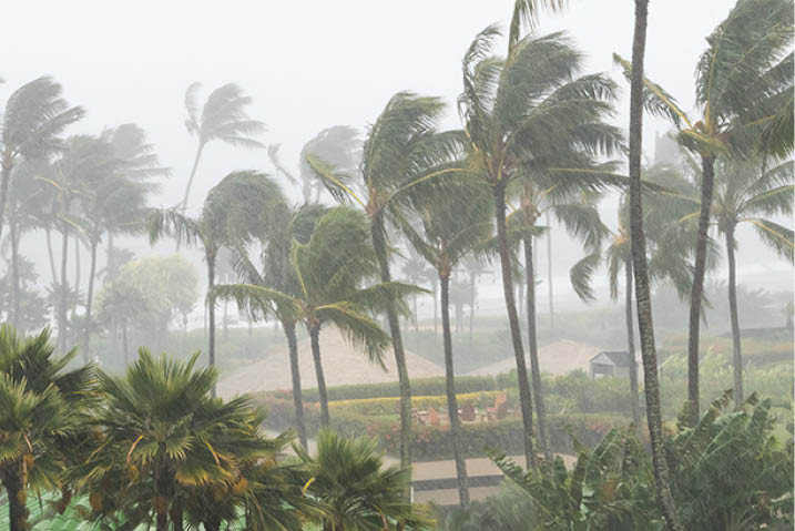 Hurricane weather