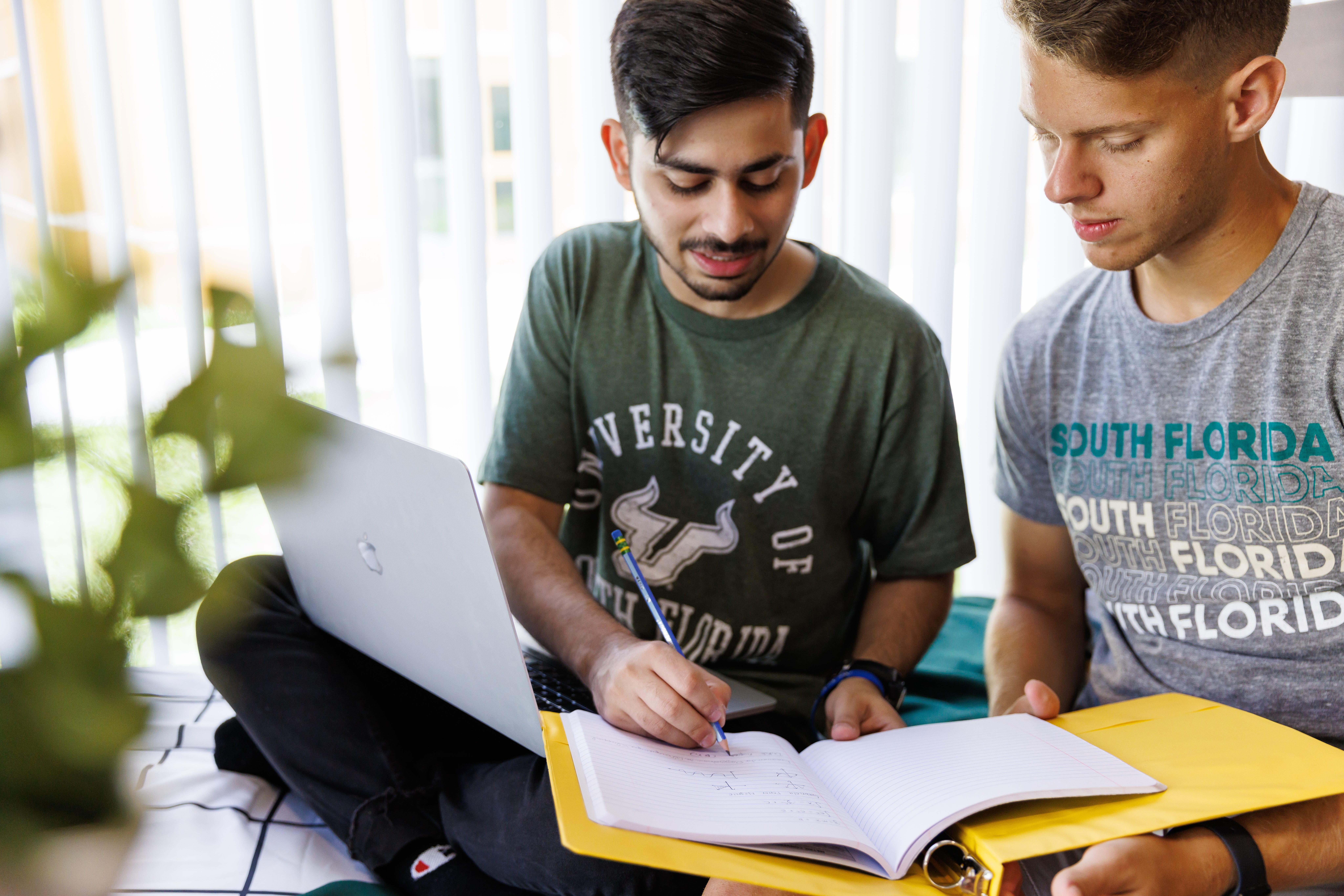 two students studying