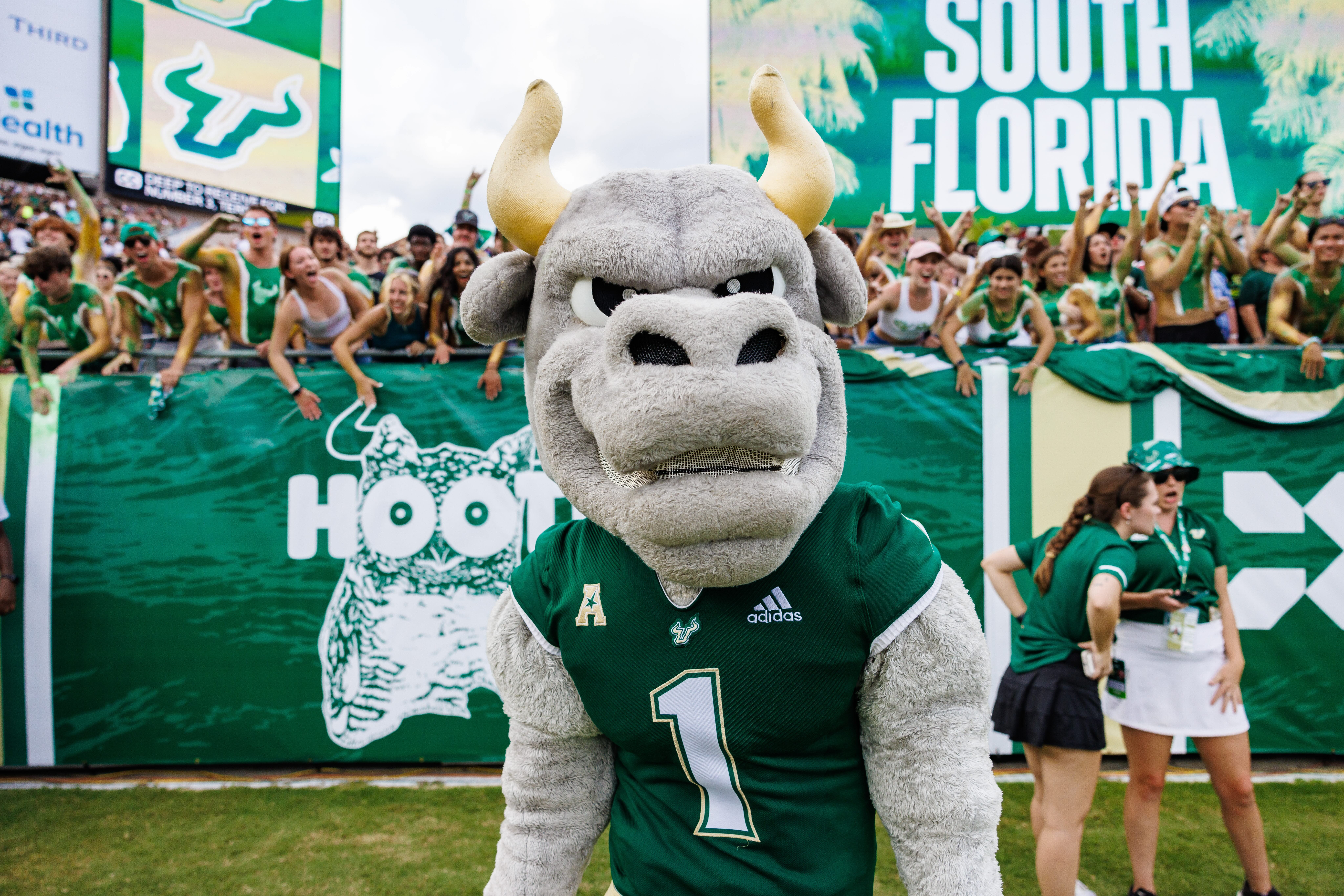 rocky the bull at football game