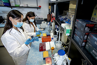 researchers in lab