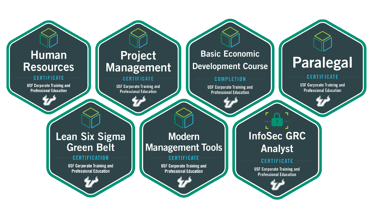 A few of the Badges and Certificates from USF CTPE