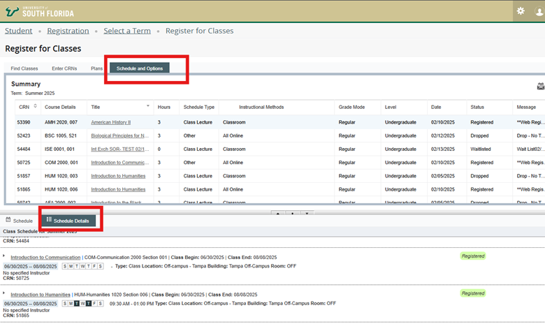 A screenshot of the online course schedule view in Student Self-Service.