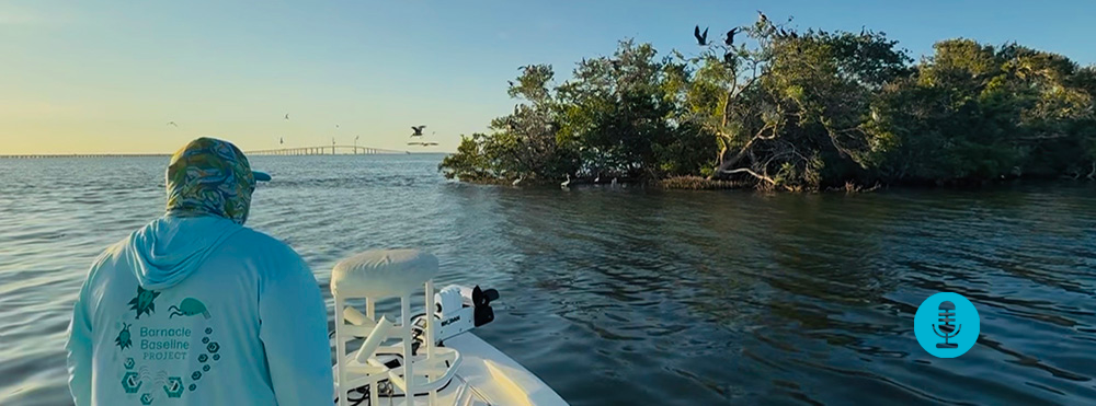 “The Rising Tides Podcast” offers listeners a behind-the-scenes look at oceanography in action, including glimpses of the future of marine science through interviews with faculty, staff, and students in the USF College of Marine Science.
